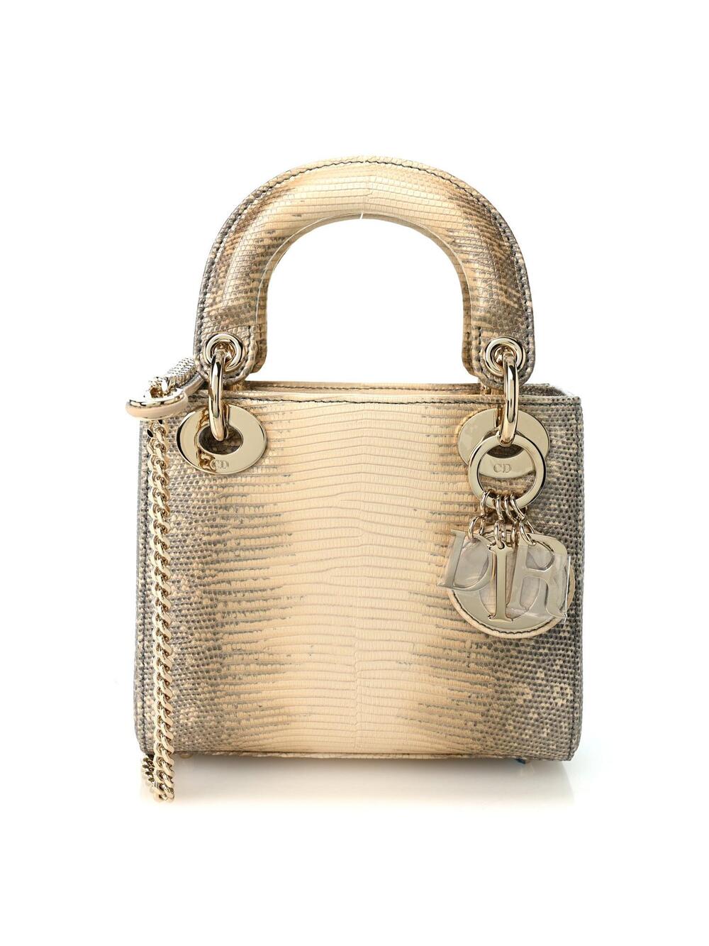 Christian Dior Lizard Ombre Mini Lady #375240C79B